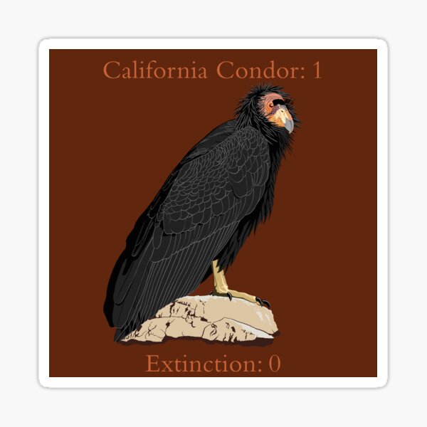 California Condor vs. Extinction (support the Los Angeles Zoo) Sticker