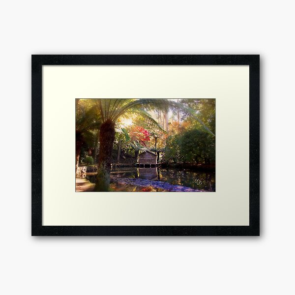 Autumn at the boat shed Framed Art Print