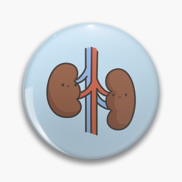 Item preview, Internal organs | Kidneys designed and sold by DerSenat.