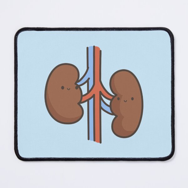 Item preview, Internal organs | Kidneys designed and sold by DerSenat.