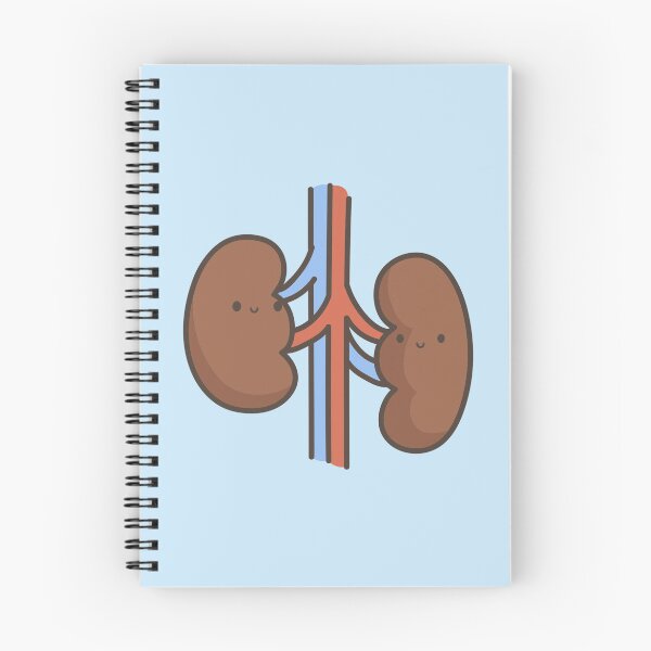 Item preview, Internal organs | Kidneys designed and sold by DerSenat.