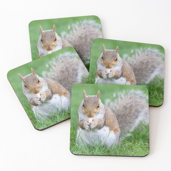 Item preview, Portrait of a cute squirrel in the grass eating a nut designed and sold by Giuseppe Cammino.