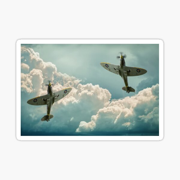 Vista previa del artículo con la obra «Spitfires agraciados», diseñado y vendido por Alisonchambers2.