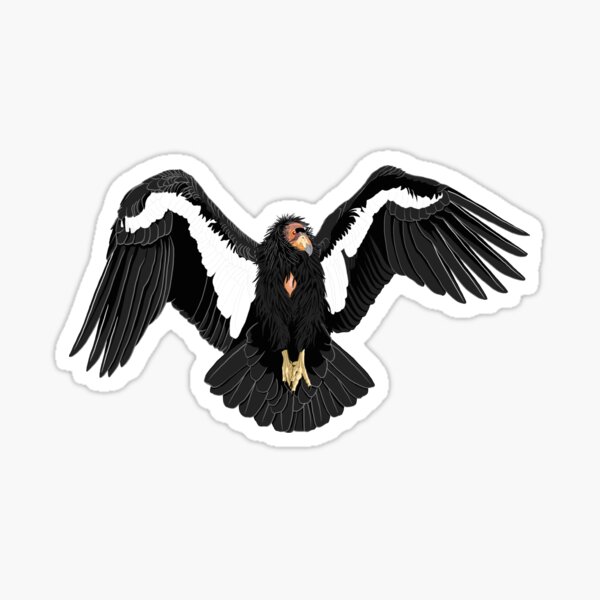 Aperçu de l'œuvre California Condor (soutenez le zoo de Los Angeles) créée et vendue par BennuBirdy.