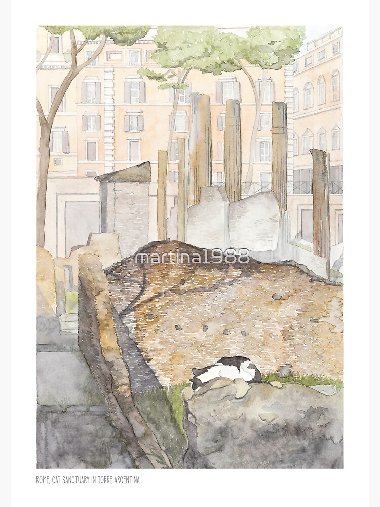 Cat Sanctuary in Torre Argentina