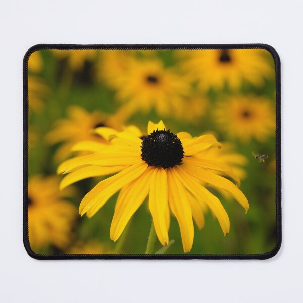 Item preview, Rudbeckia designed and sold by Ajo Fernández.