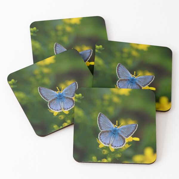 Item preview, Blue Butterfly designed and sold by Ajo Fernández.
