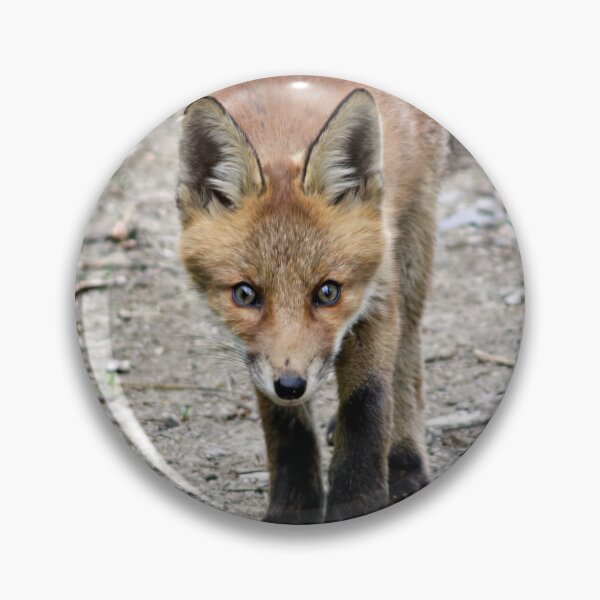 Item preview, A fox cub designed and sold by AntonyGRobinson.