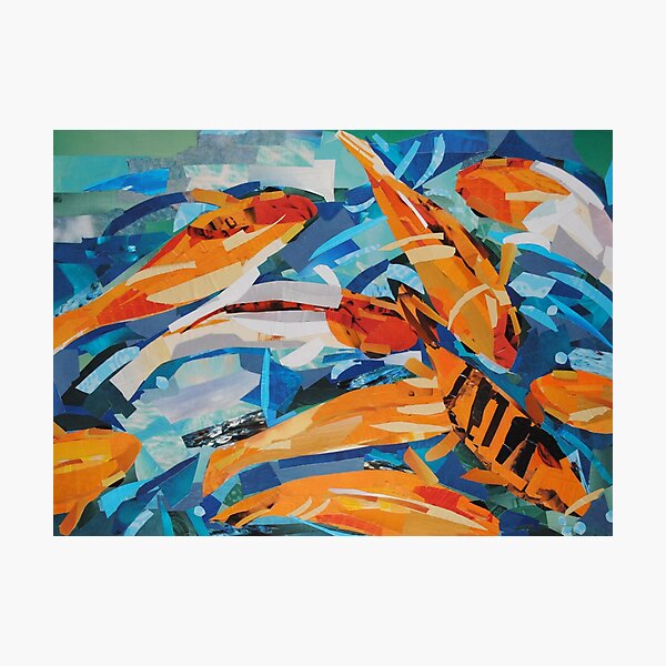 Goldfish Pond Photographic Print