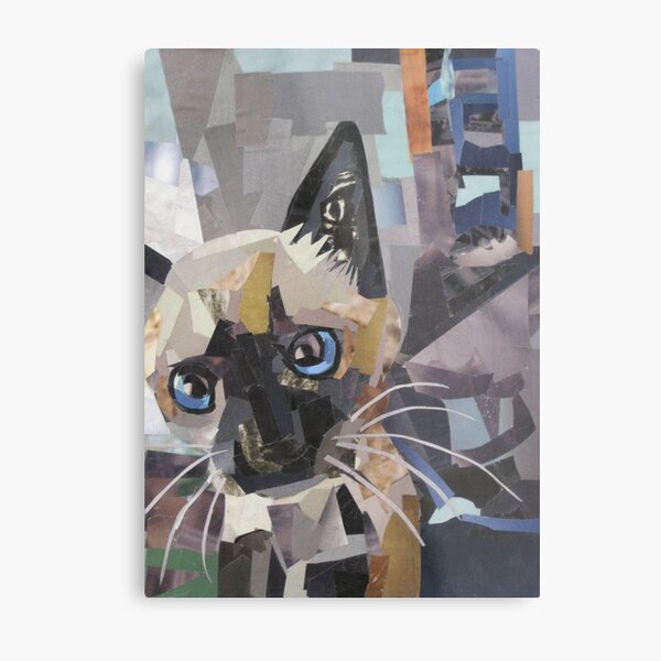 The Curious Kitten Metal Print