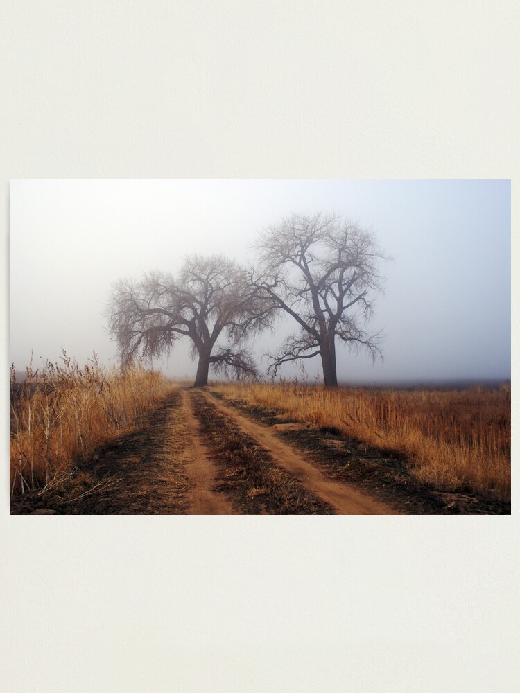 Alternate view of Road to Nowhere Photographic Print