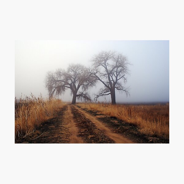Road to Nowhere Photographic Print