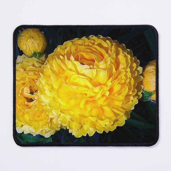 Item preview, Yellow Ranunculus designed and sold by JuliaWright.