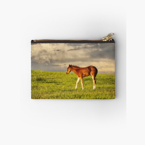 Item preview, Prairie Colt designed and sold by colorfulbundles.