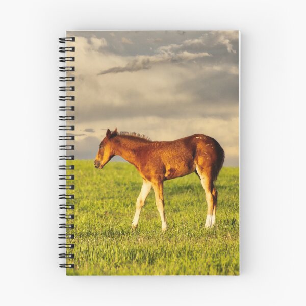 Item preview, Prairie Colt designed and sold by colorfulbundles.