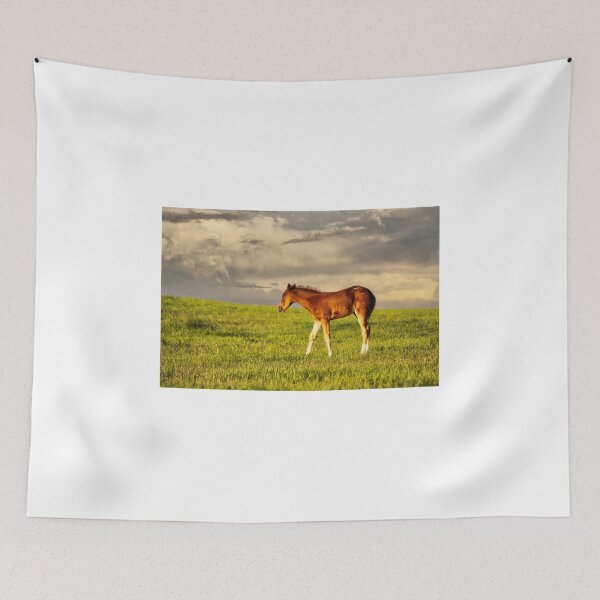 Item preview, Prairie Colt designed and sold by colorfulbundles.