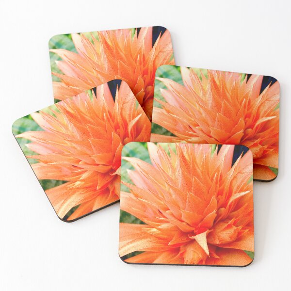 Item preview, Orange Bromeliad designed and sold by JuliaWright.
