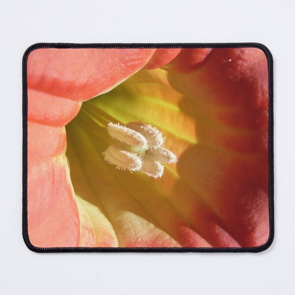 Item preview, Angel Trumpet designed and sold by JuliaWright.