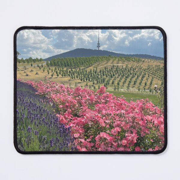 Item preview, Canberra views designed and sold by AnnasFloristry.
