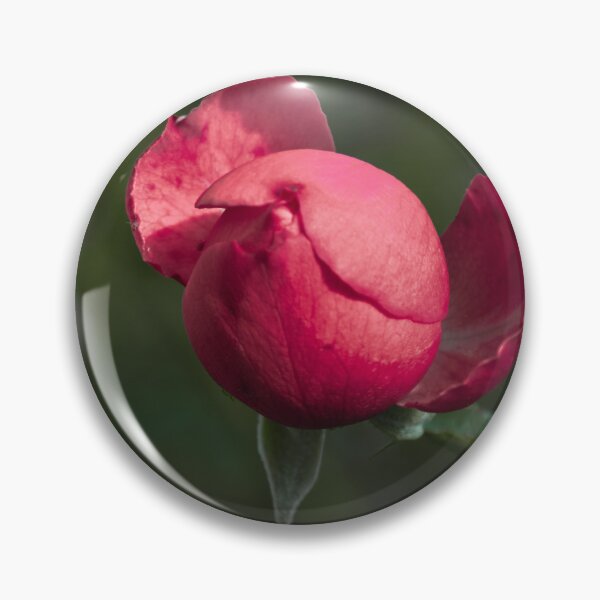 Item preview, Rosebud designed and sold by MyArtistry.