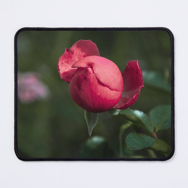 Item preview, Rosebud designed and sold by MyArtistry.