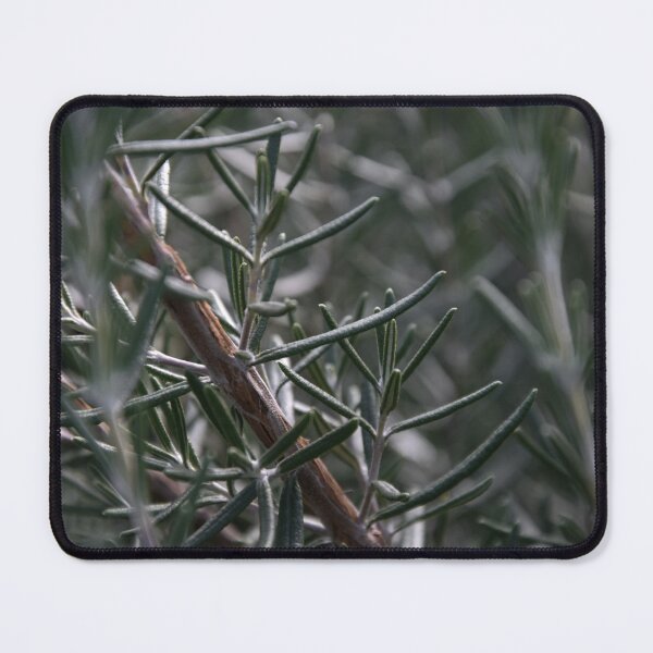 Item preview, rosemary designed and sold by MyArtistry.