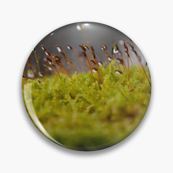 Item preview, Wet moss designed and sold by MyArtistry.