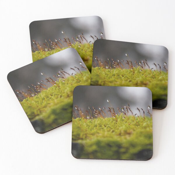 Item preview, Wet moss designed and sold by MyArtistry.