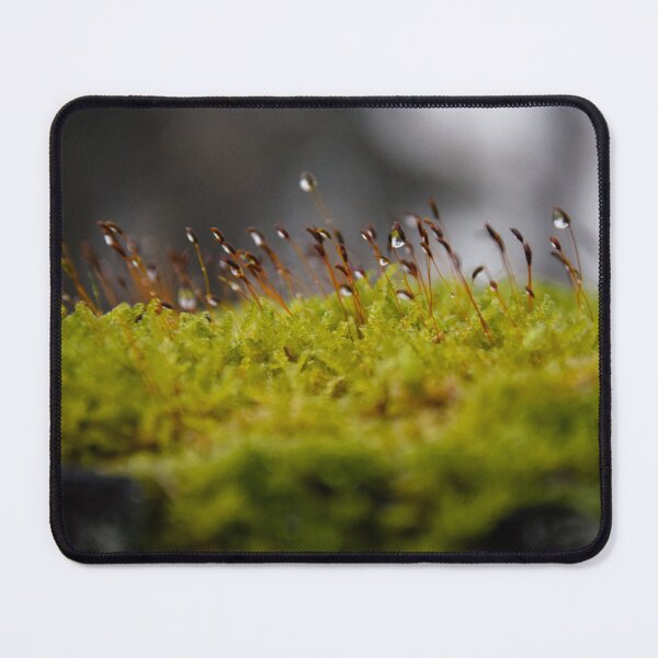 Item preview, Wet moss designed and sold by MyArtistry.