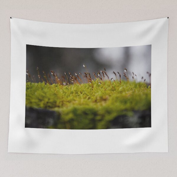 Item preview, Wet moss designed and sold by MyArtistry.