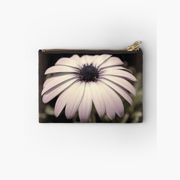 Item preview, Soft Daisy designed and sold by photosbypamela.