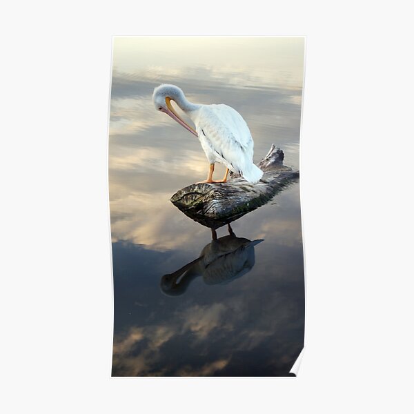 Duality Poster