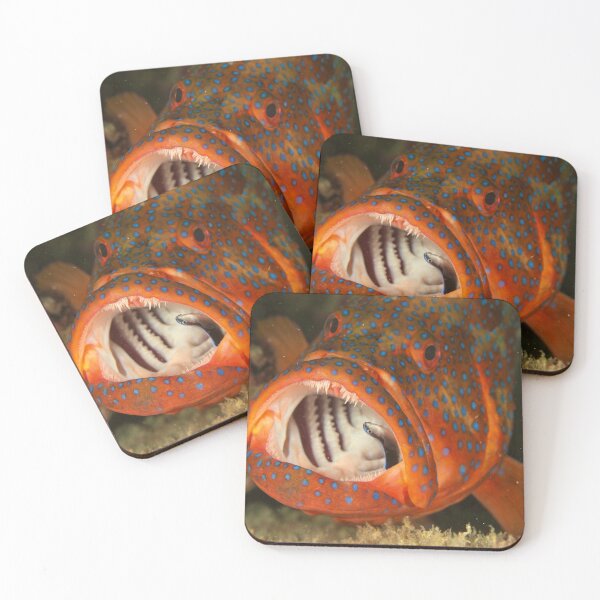 Item preview, Coral Trout designed and sold by Phillip Hawley.