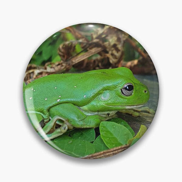 Item preview, Giant Green Tree Frog designed and sold by ongarra.