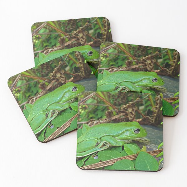 Item preview, Giant Green Tree Frog designed and sold by ongarra.