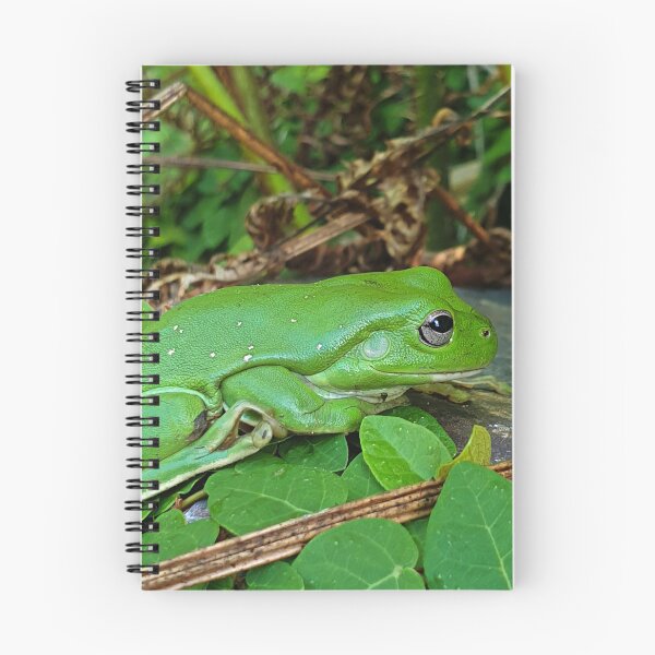 Item preview, Giant Green Tree Frog designed and sold by ongarra.