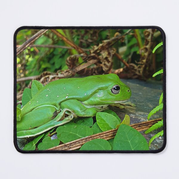 Item preview, Giant Green Tree Frog designed and sold by ongarra.