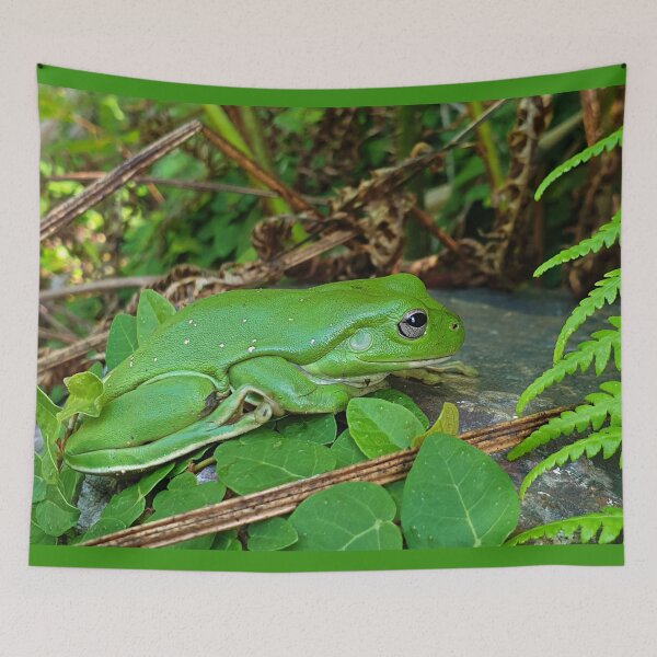 Item preview, Giant Green Tree Frog designed and sold by ongarra.