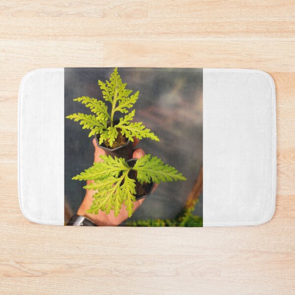 Item preview, Watercolor Fern designed and sold by BirtherArtShop.