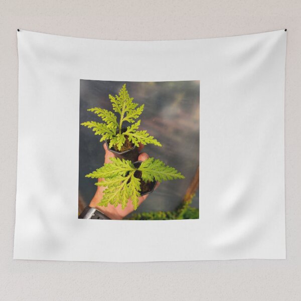 Item preview, Watercolor Fern designed and sold by BirtherArtShop.