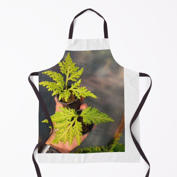 Item preview, Watercolor Fern designed and sold by BirtherArtShop.