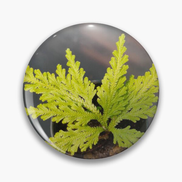 Item preview, ferns laptop designed and sold by BirtherArtShop.