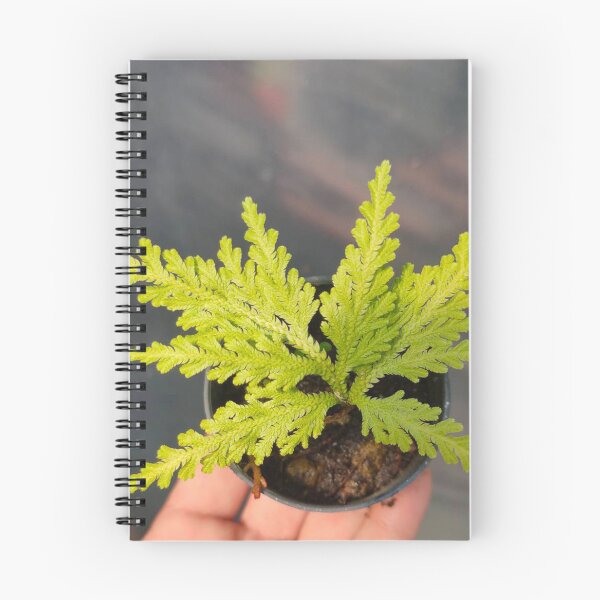Item preview, ferns laptop designed and sold by BirtherArtShop.