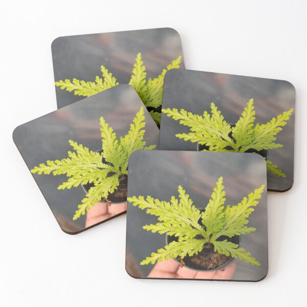 Item preview, ferns laptop designed and sold by BirtherArtShop.