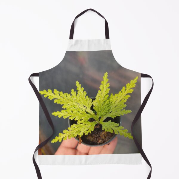 Item preview, ferns laptop designed and sold by BirtherArtShop.