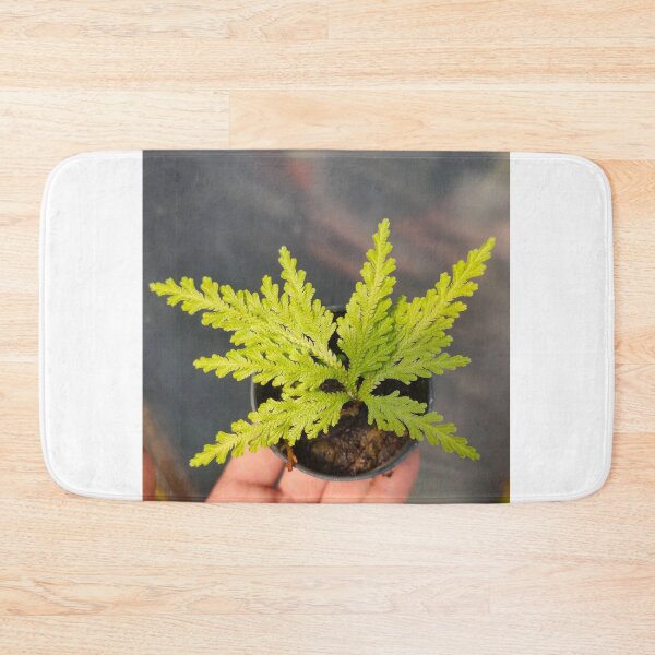 Item preview, ferns laptop designed and sold by BirtherArtShop.