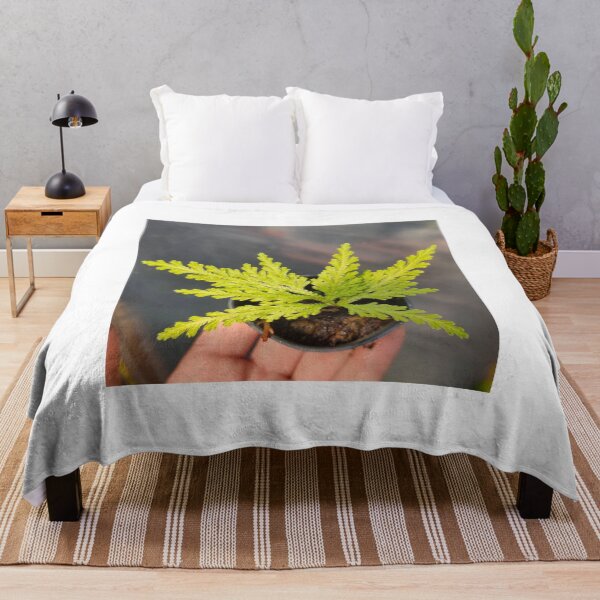 Item preview, ferns laptop designed and sold by BirtherArtShop.