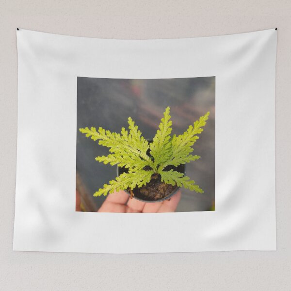 Item preview, ferns laptop designed and sold by BirtherArtShop.