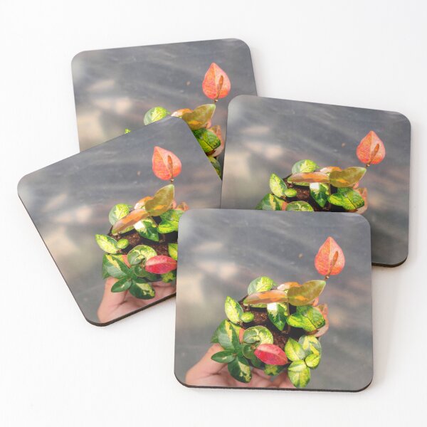Item preview, love the earth designed and sold by BirtherArtShop.