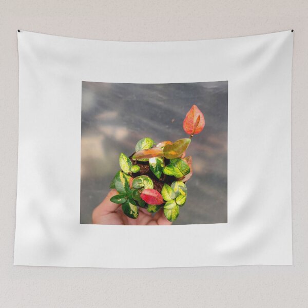 Item preview, love the earth designed and sold by BirtherArtShop.
